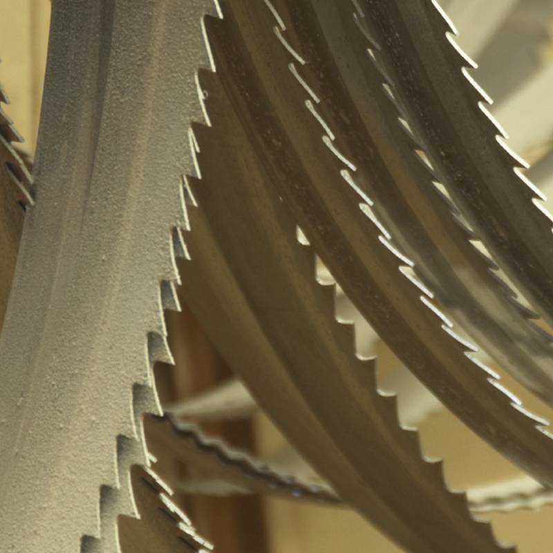 lame.jpg REPLACEMENT BLADES FOR MITRE SAW "FEMI 784XL" - Image 1