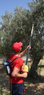 "LISAM" 12 V BACKPACK BATTERY - Image 3