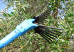 "LISAM" PETTINE ELETTRICO ASTA TELESCOPICA  -OLIVECO-
