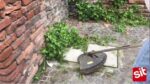 SPAZZOLA CONICA PER DECESPUGLIATORE "SIT" - immagine 2